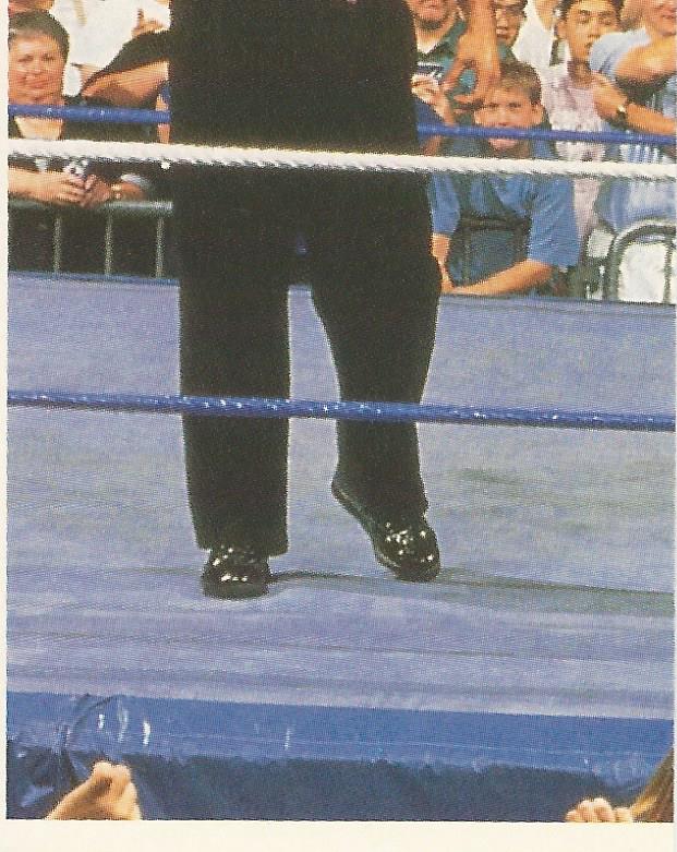 WWF Merlin Stickers 1992 Money Inc #30