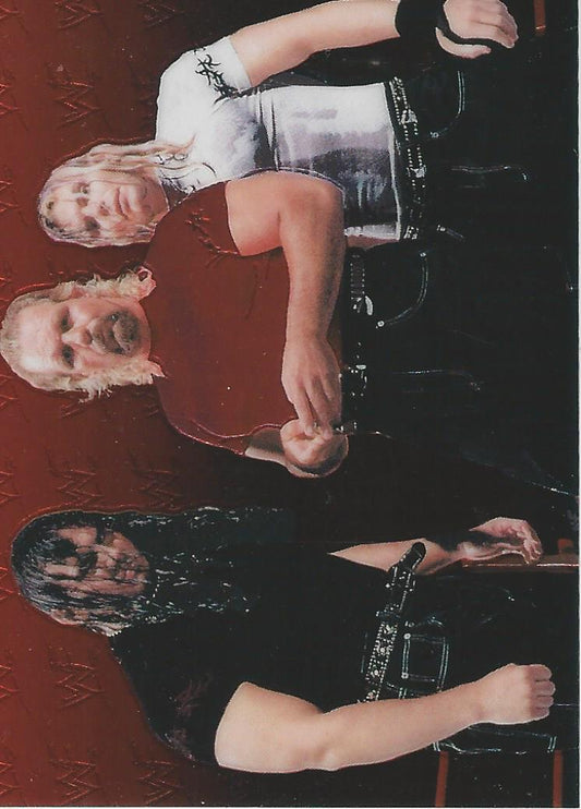 WWF Smackdown Chrome 1999 Hardy Boyz #30