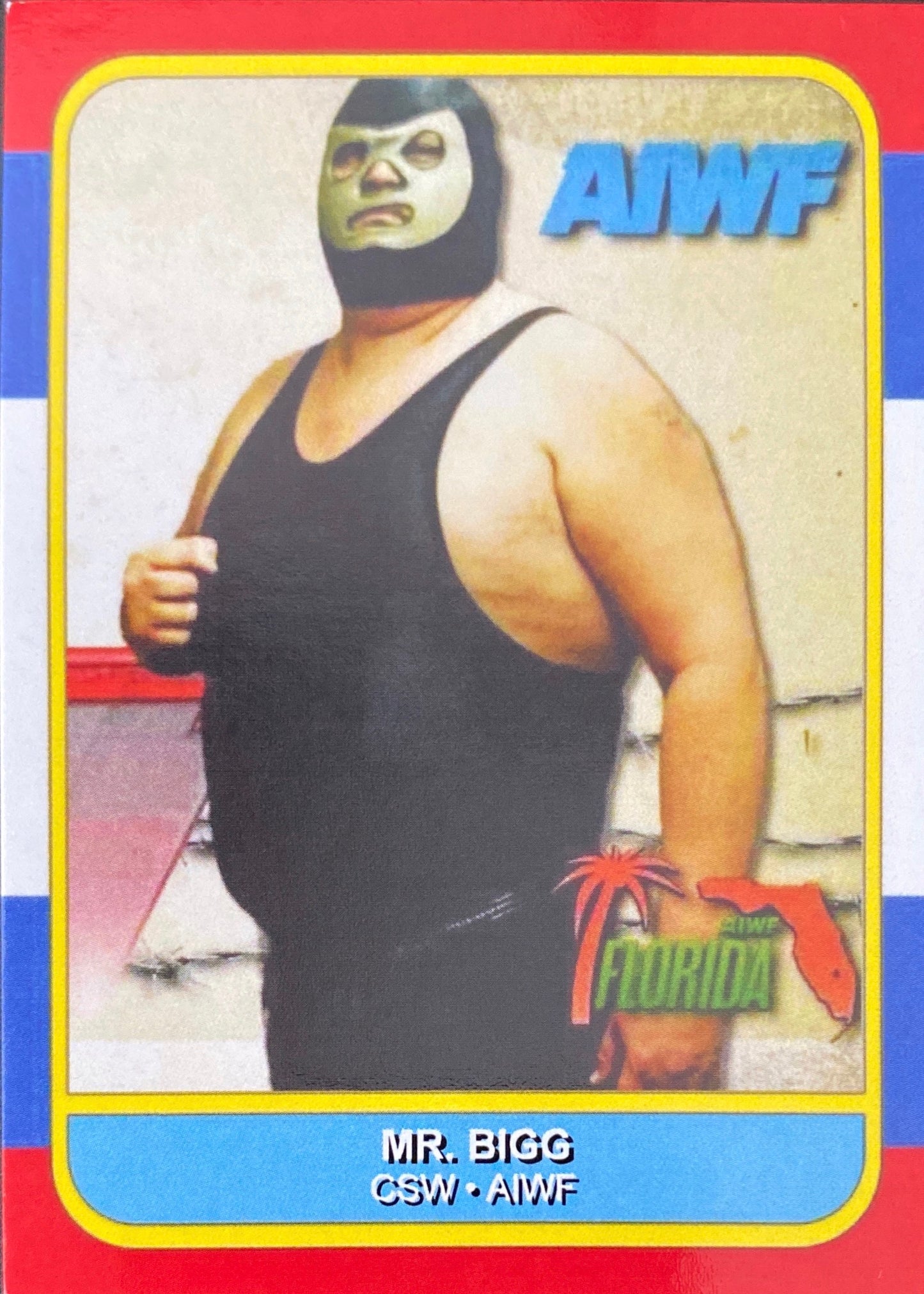 MR. Bigg trading card PW Catalog