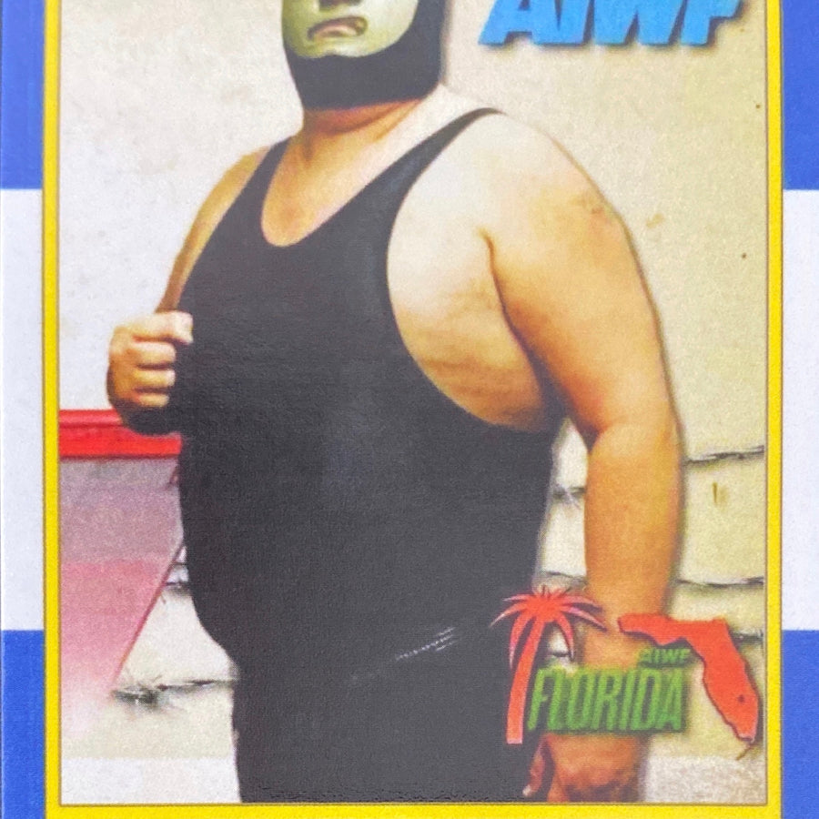 MR. Bigg trading card PW Catalog