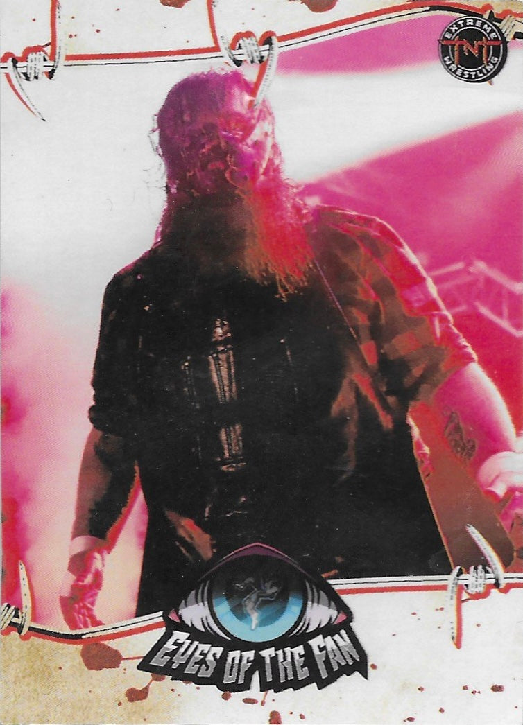 Eyes of the Fan trading card PW Catalog