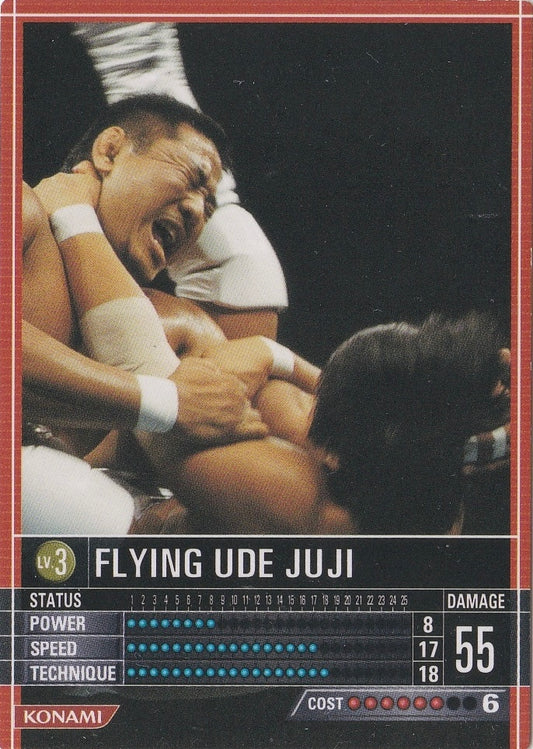 Flying UDE Juji