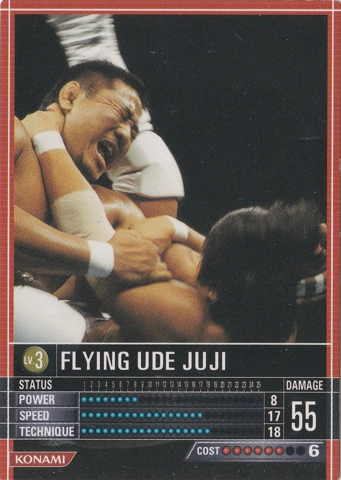 Flying UDE Juji