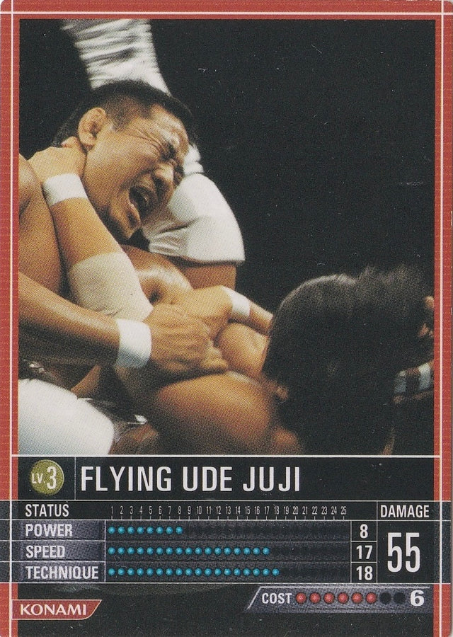 Flying UDE Juji