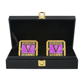 Velveteen Dream NXT Championship Side Plate Box Set