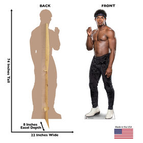 Velveteen Dream Standee