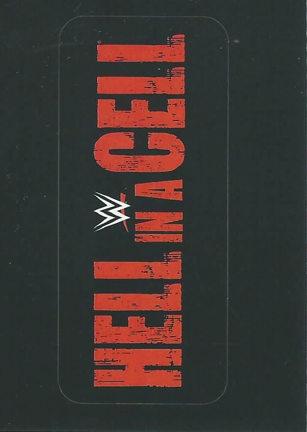 WWE Panini 2022 Sticker Collection #317