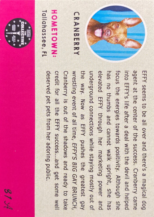 Cranberry trading card PW Catalog