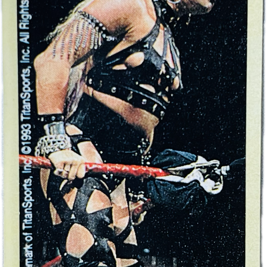 WWF Dunkin Bubble Gum Stickers (1993) No. 31 Luna Vachon PW Catalog