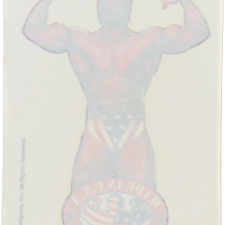 WWF Tattoos 1995 Lex Luger from Germany Pwcatalog