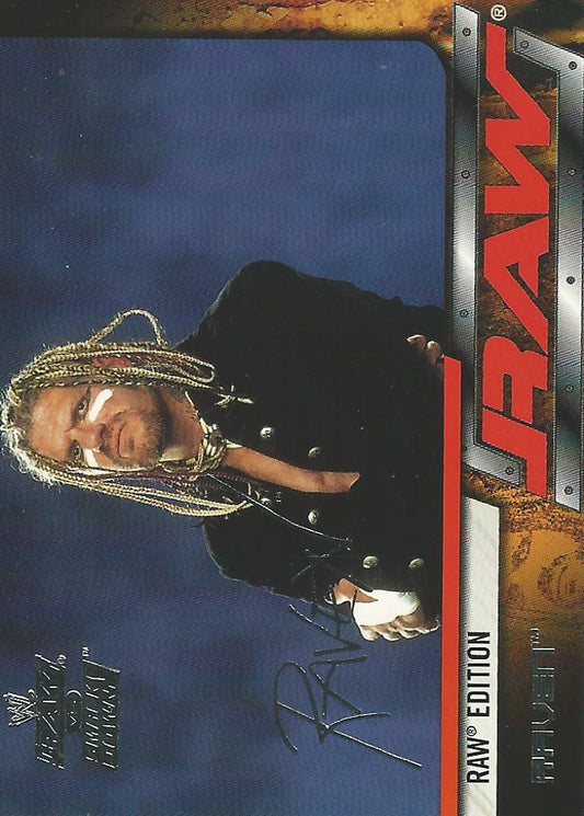 WWE Fleer Raw vs Smackdown 2002 Raven #31