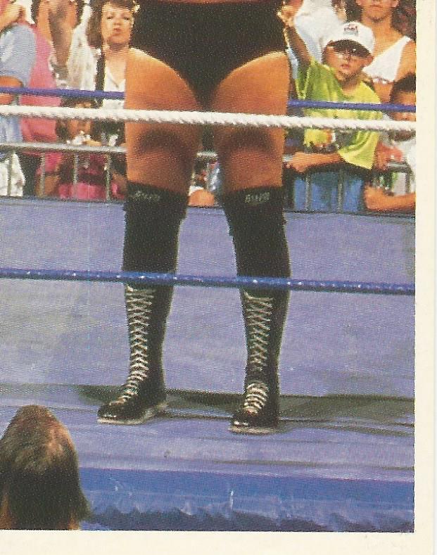 WWF Merlin Stickers 1992 Money Inc #31