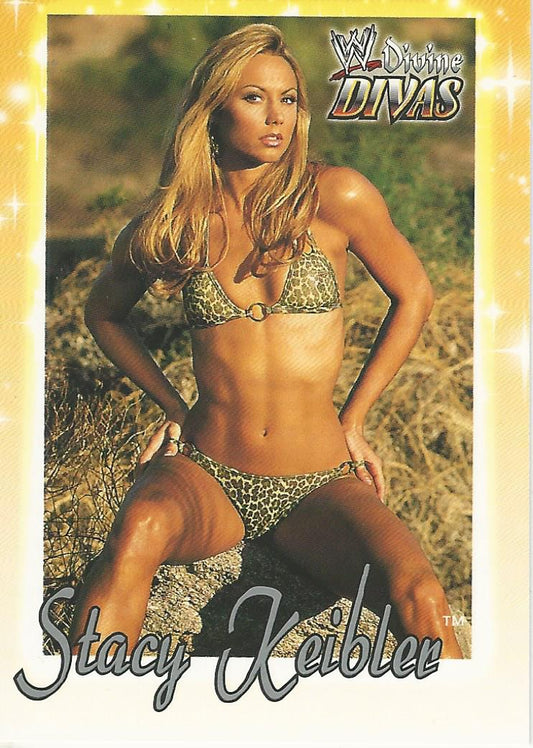 WWE Fleer Divine Divas 2003 Stacy Keibler #31