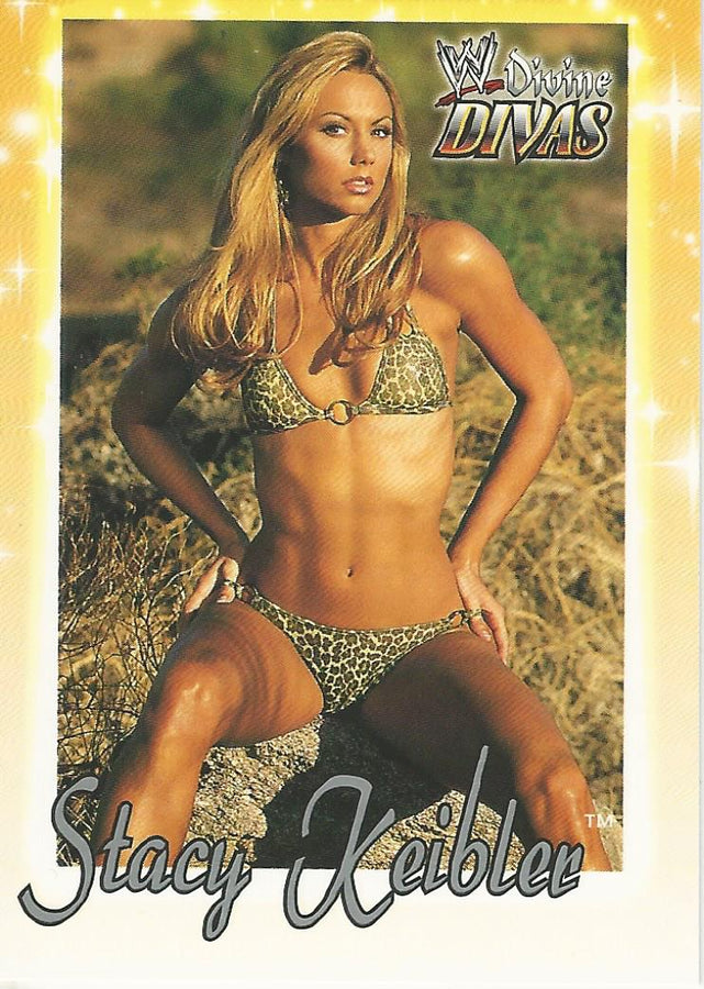 WWE Fleer Divine Divas 2003 Stacy Keibler #31