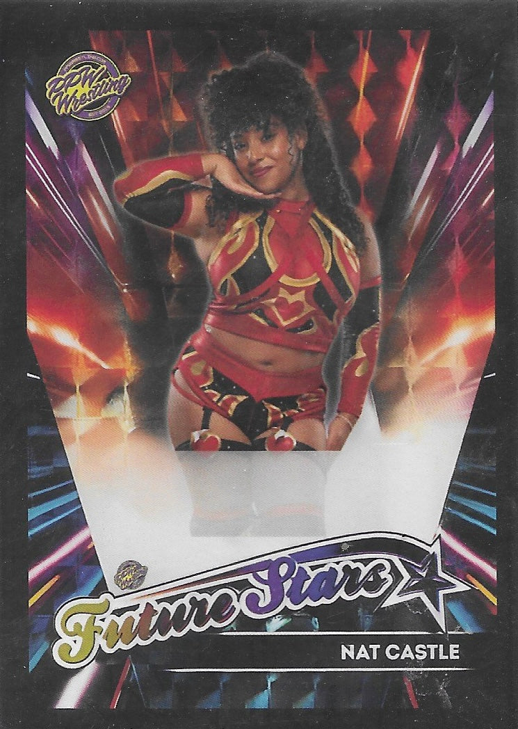 NAT Castle trading card PW Catalog