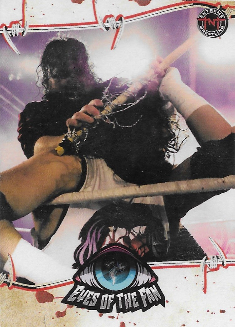 Eyes of the Fan trading card PW Catalog