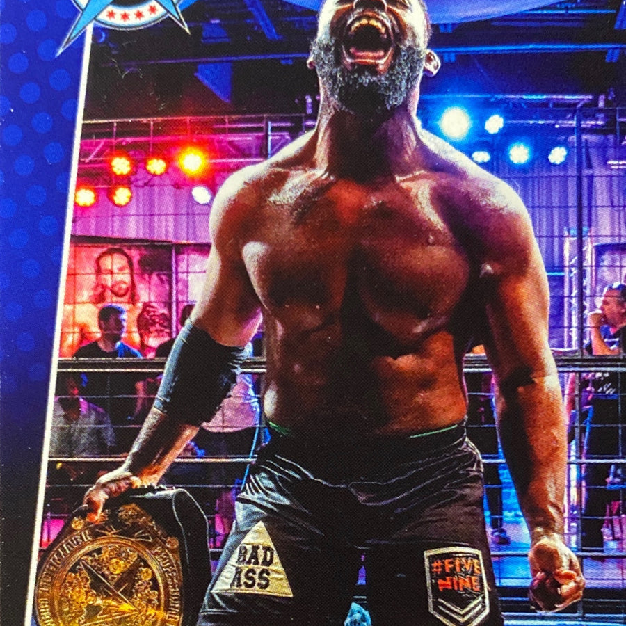 Fred Yehi trading card PW Catalog