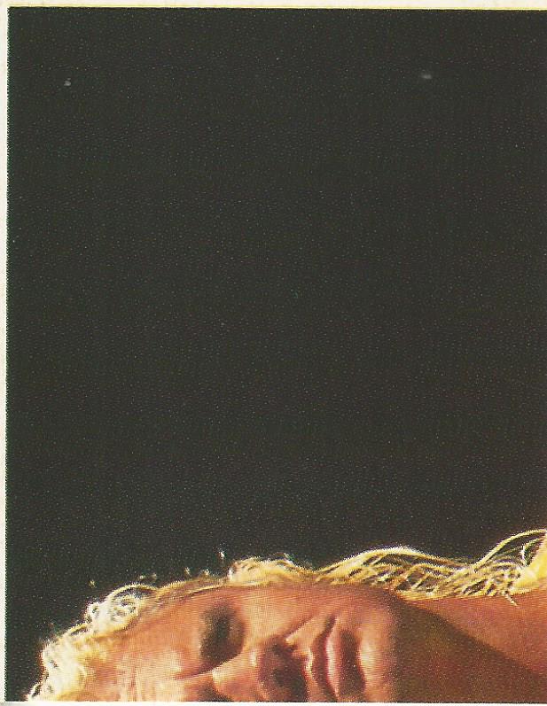 WWF Merlin Stickers 1991 Mr Perfect #324