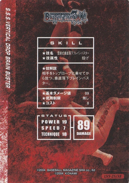 S.S.S. Vertical Drop Brain Buster - image 2