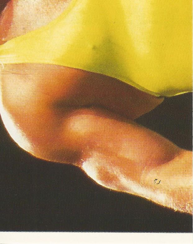 WWF Merlin Stickers 1991 Mr Perfect #325