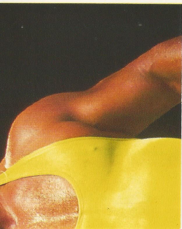 WWF Merlin Stickers 1991 Mr Perfect #326