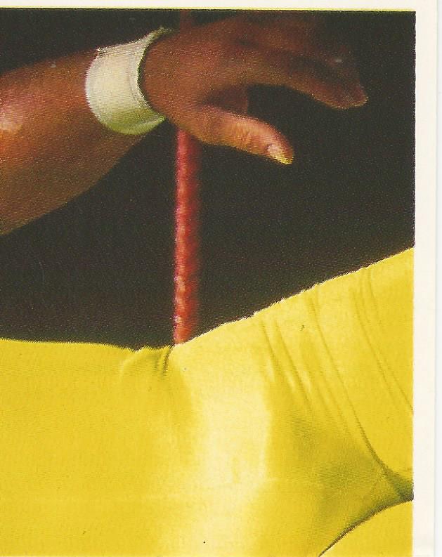 WWF Merlin Stickers 1991 Mr Perfect #328