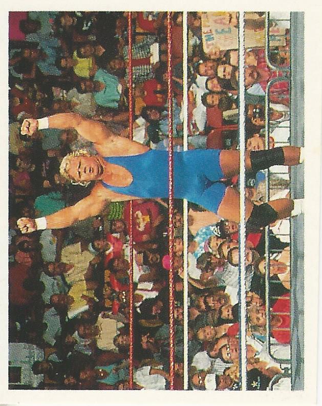 WWF Merlin Stickers 1991 Mr Perfect #329