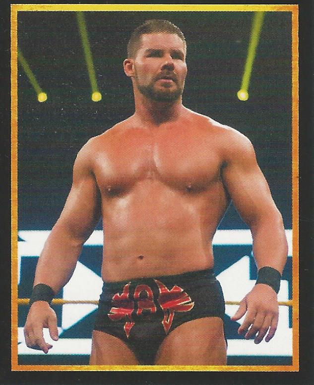 WWE Topps Stickers 2017 Bobby Roode #32