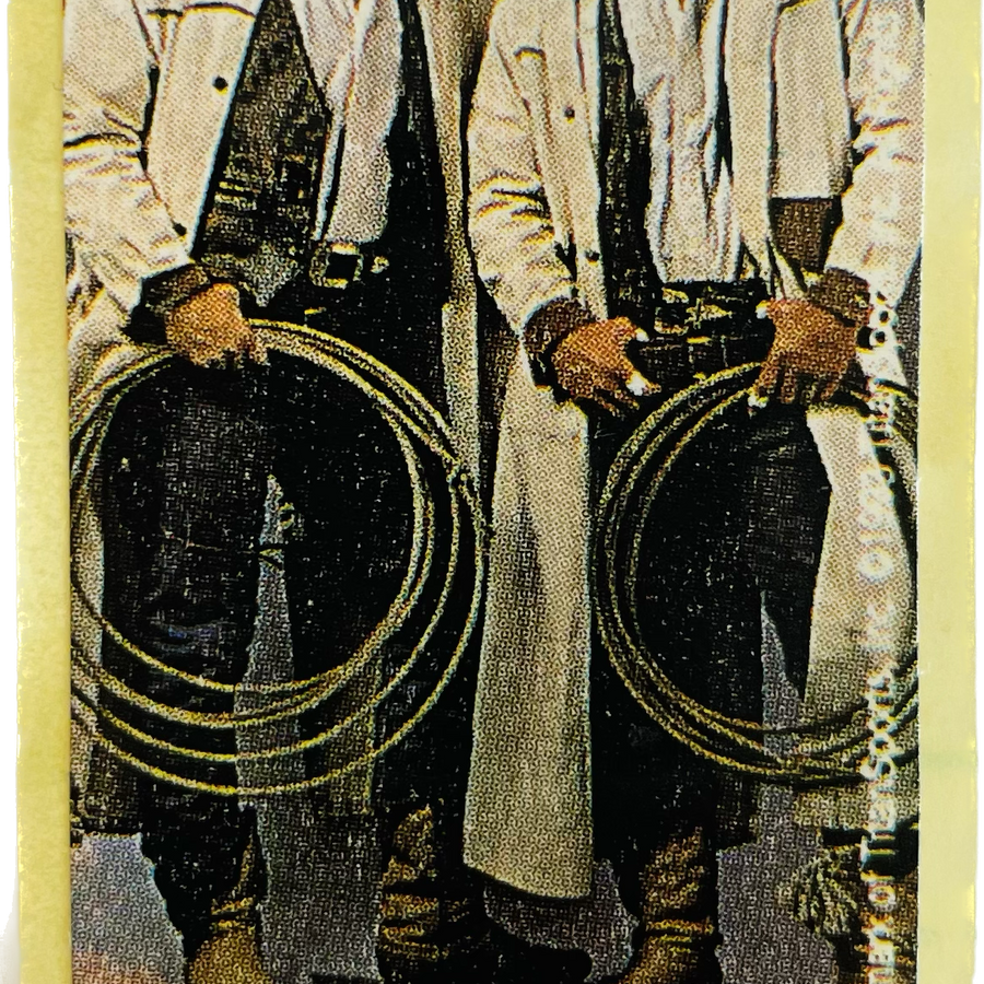 WWF Dunkin Bubble Gum Stickers (1993) No. 32 Smoking Gunns PW Catalog