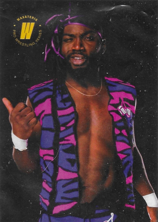 Lucky ALI trading card PW Catalog