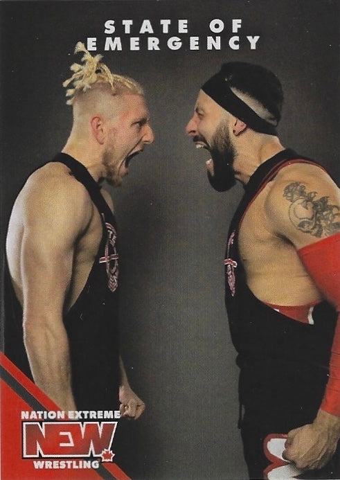 State of Emergency – Miles Deville & Sebastian Wolfe trading card PW Catalog