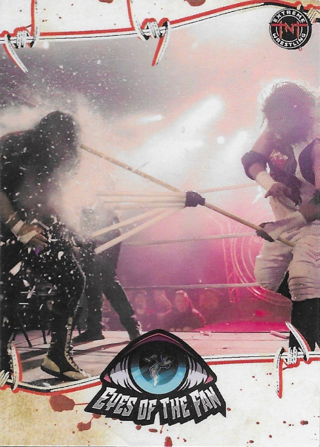 Eyes of the Fan trading card PW Catalog