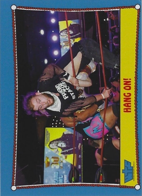 Ringside Action – Hang On! trading card PW Catalog