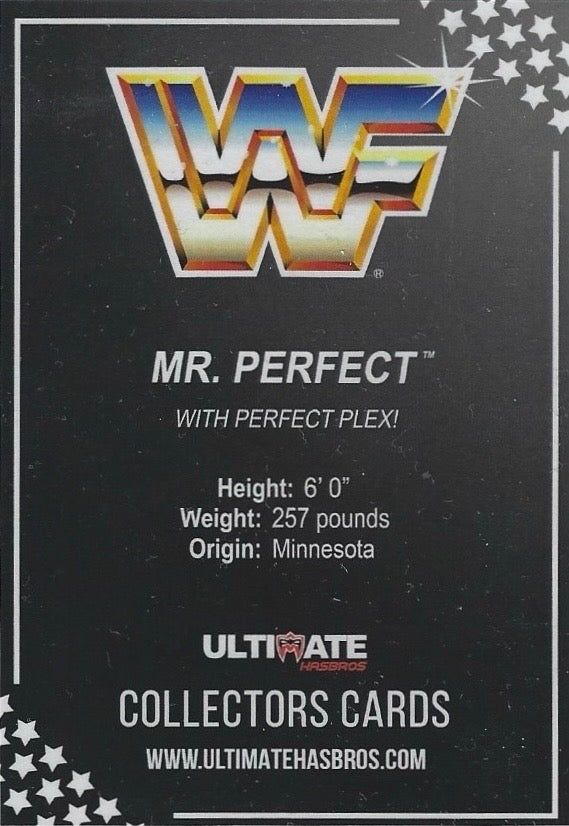 MR. Perfect trading card PW Catalog