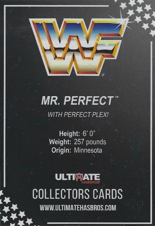 MR. Perfect trading card PW Catalog