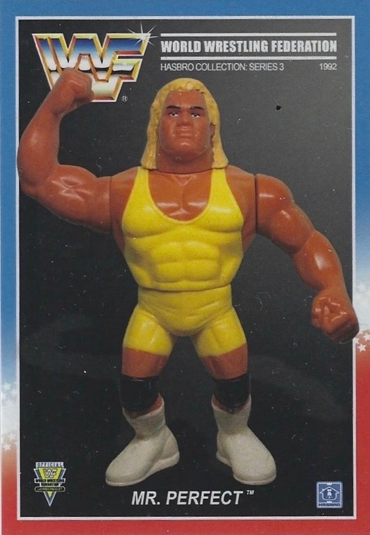MR. Perfect trading card PW Catalog