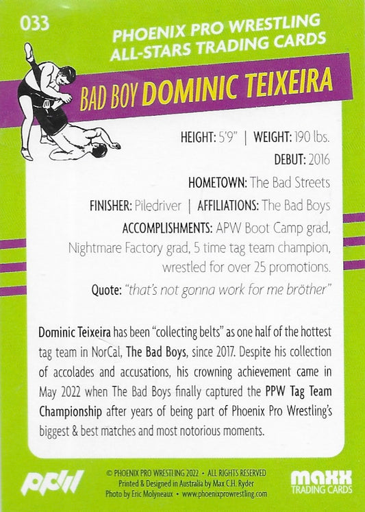 Bad Boy Dominic Teixeira - image 2