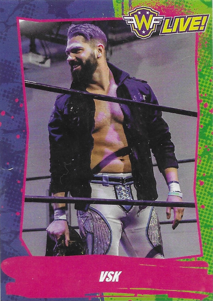VSK trading card PW Catalog