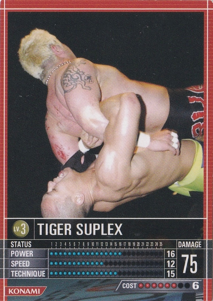 Tiger Suplex