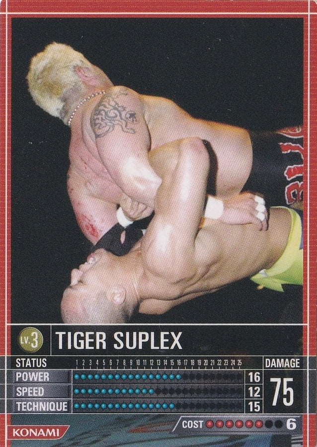 Tiger Suplex