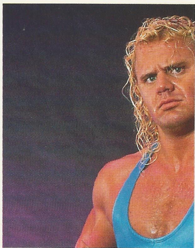 WWF Merlin Stickers 1991 Mr Perfect #332