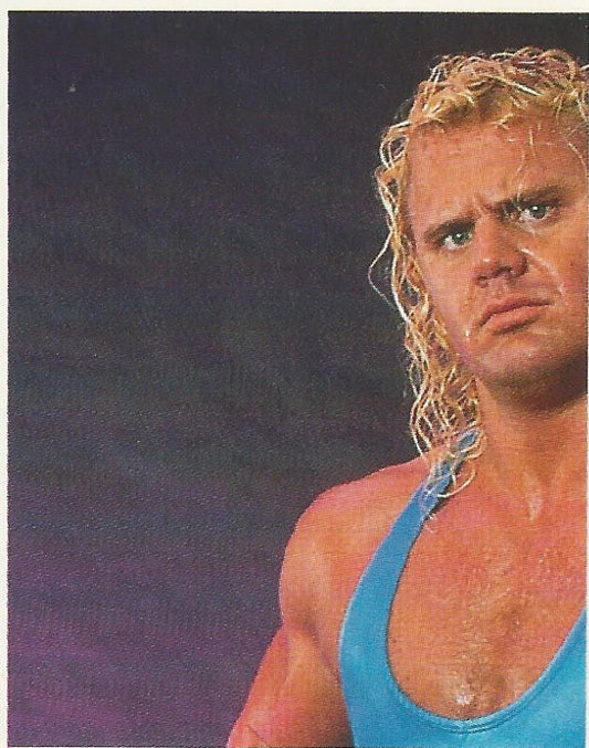 WWF Merlin Stickers 1991 Mr Perfect #332