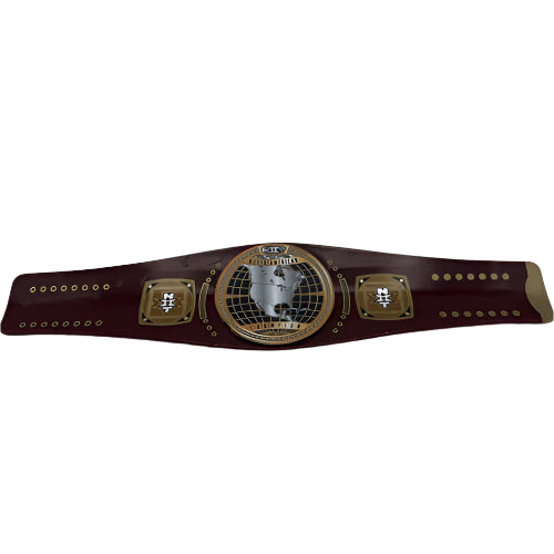 WWE NXT North American Championship Title Slap Bands - Series 1 Blind Bag Pwcatalog
