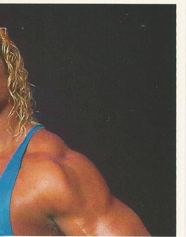 WWF Merlin Stickers 1991 Mr Perfect #333