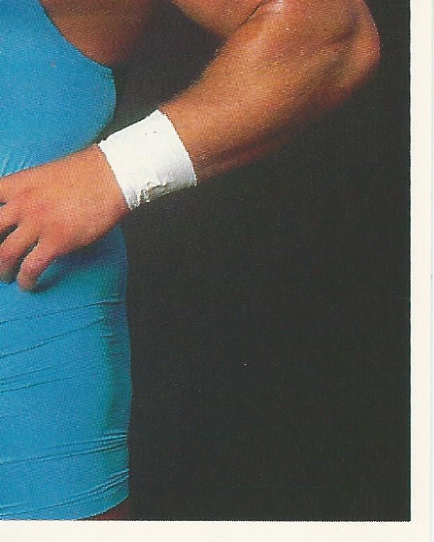 WWF Merlin Stickers 1991 Mr Perfect #335