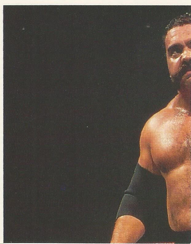 WWF Merlin Stickers 1991 Big Bully Busick #336