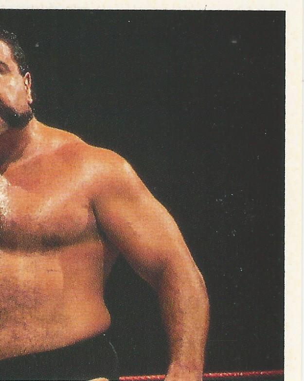 WWF Merlin Stickers 1991 Big Bully Busick #337