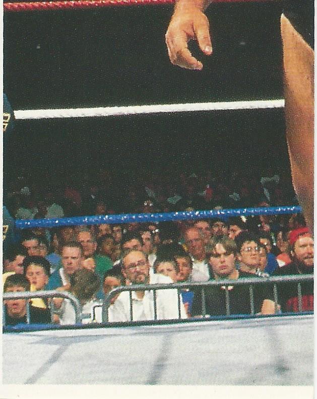 WWF Merlin Stickers 1991 Big Bully Busick #338