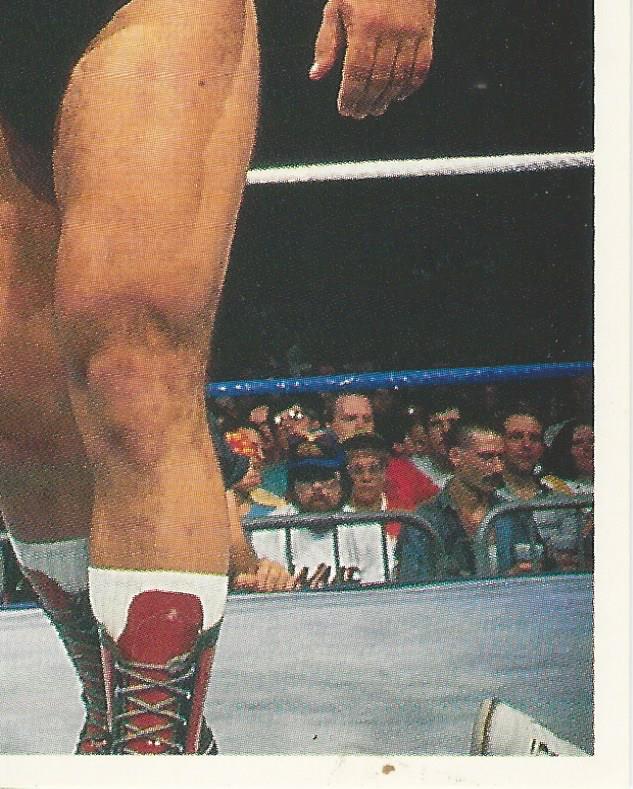 WWF Merlin Stickers 1991 Big Bully Busick #339
