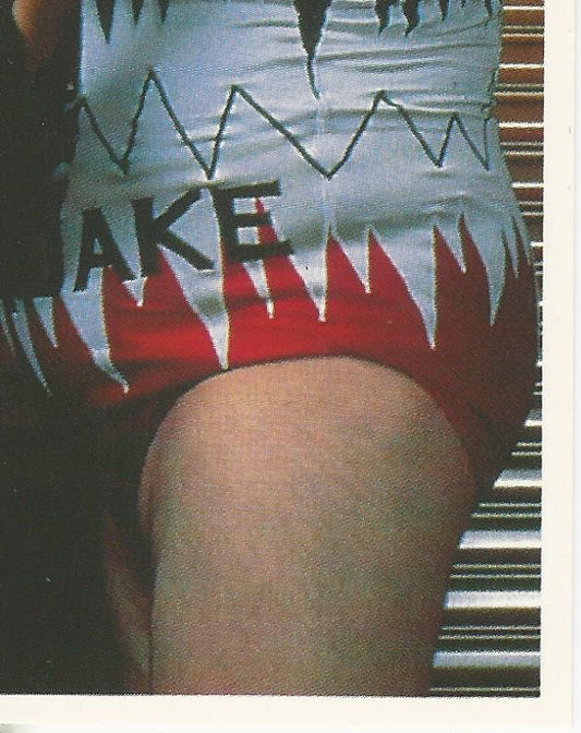 WWF Merlin Stickers 1991 Natural Disasters #33